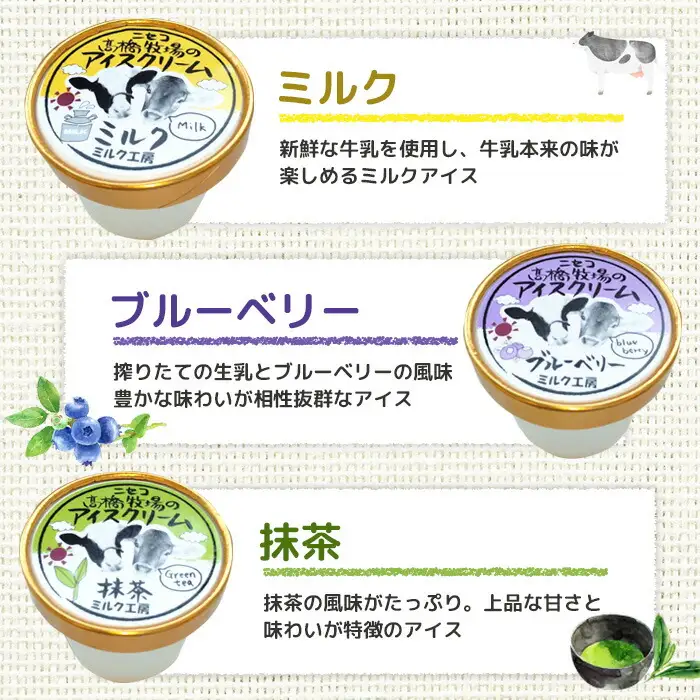 ニセコ高橋牧場ミルク工房　カップアイス3種10個入りセット【0311401】
