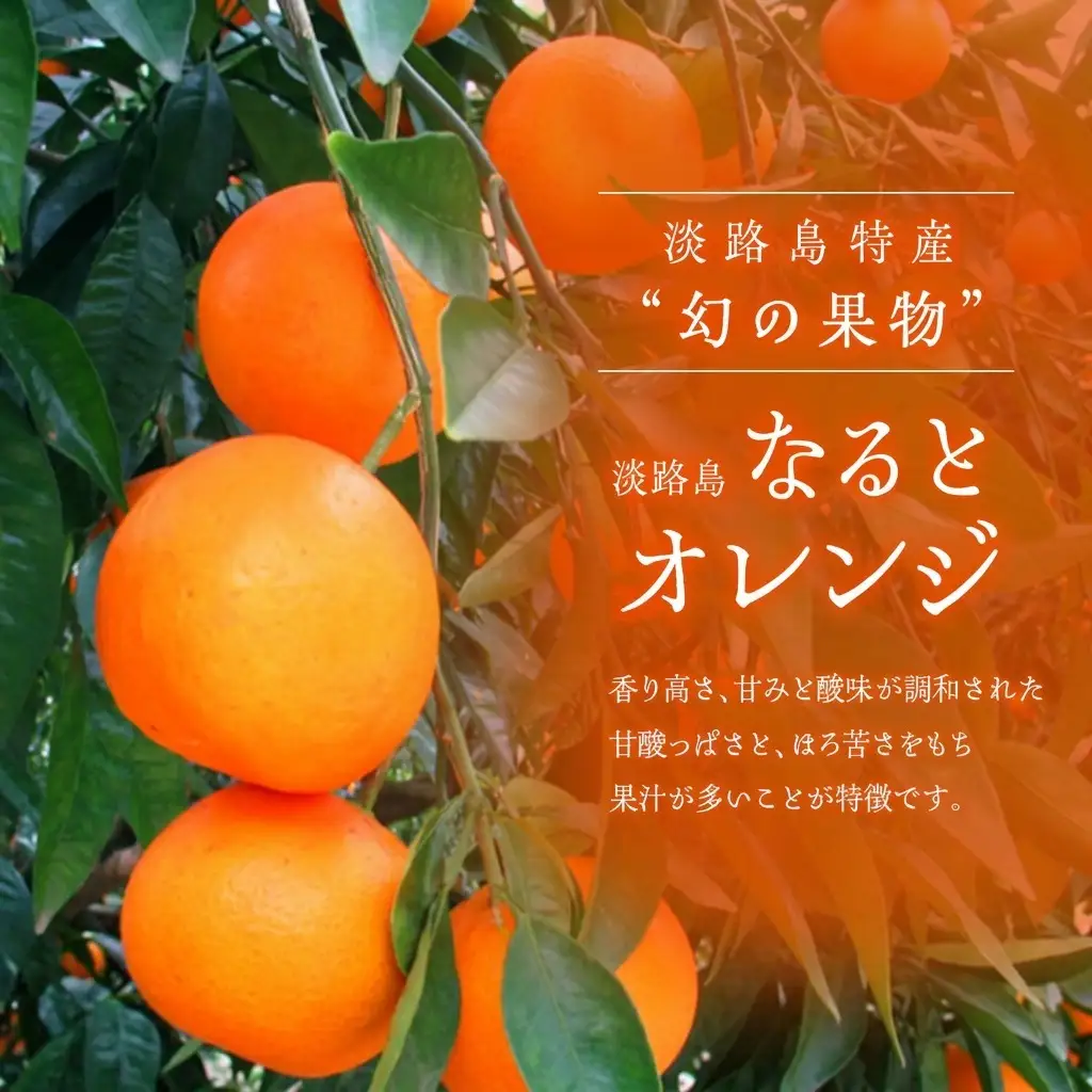 なるとオレンジ 幻の果物 5kg なるとオレンジ 淡路島 洲本市