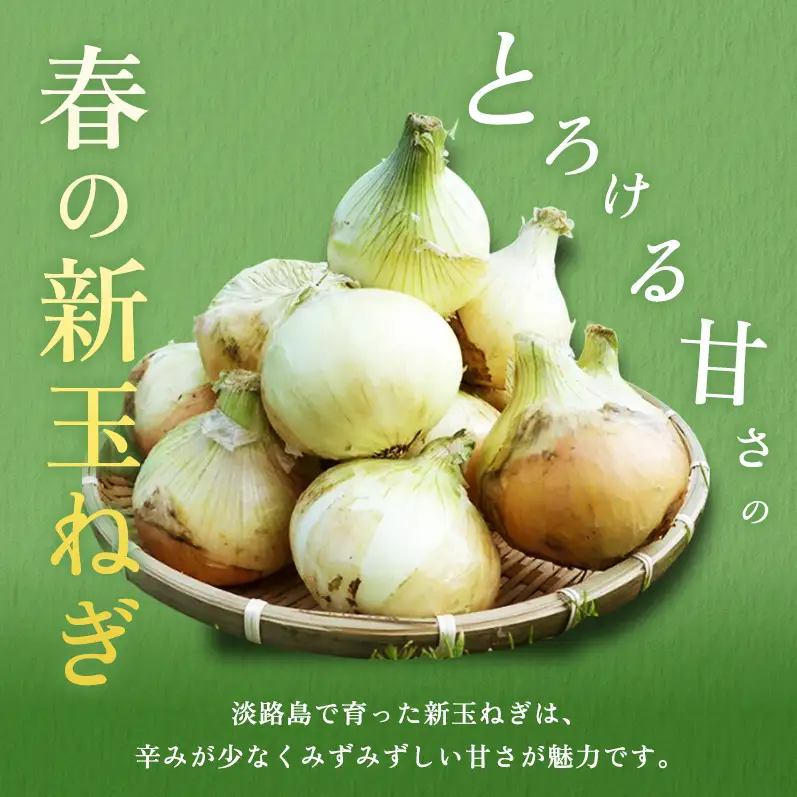 新玉ねぎ 淡路島産 5kg 山木さんち 甘い 新玉ねぎ