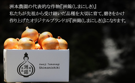 新玉ねぎ 淡路島産 洲錦 5kg 洲本農園 新玉ねぎ