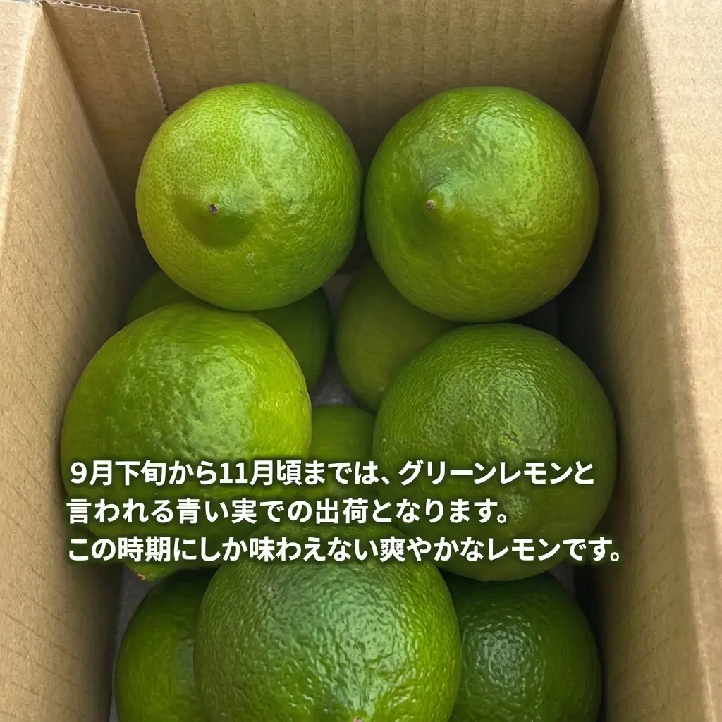 レモン アレンユーレカ 淡路島 1kg 8～12個 レモン