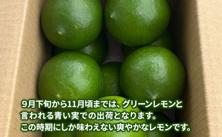 レモン マイヤーレモン 淡路島 1kg 8～12個 レモン