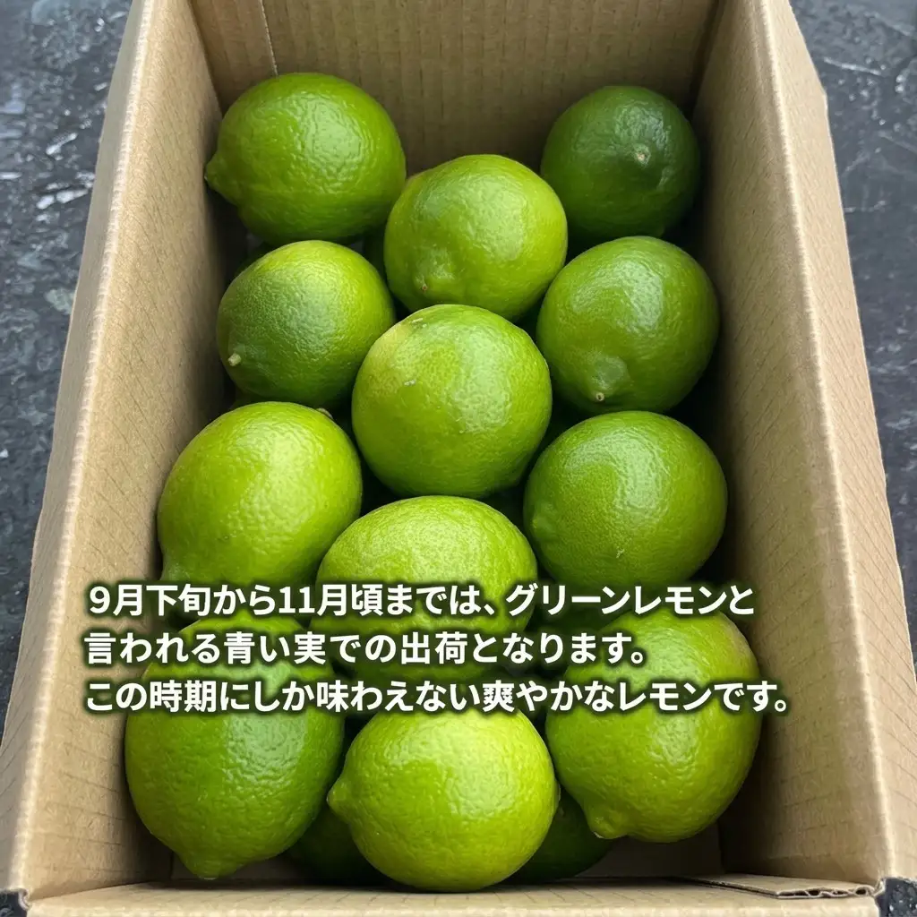 レモン アレンユーレカ 淡路島 2kg 16～22個 レモン
