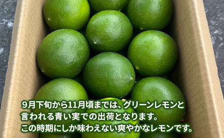 淡路島 マイヤーレモン 2kg レモン 檸檬 れもん グリーンレモン 果物 フルーツ 季節の果物 季節のフルーツ 旬 旬のフルーツ 旬の果物 洲本市