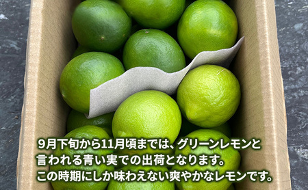 レモン マイヤー アレンユーレカ 2種 2kg レモン