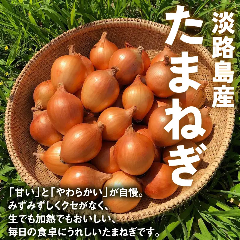 玉ねぎ 淡路島産 5kg みやざきファーム 甘い 玉ねぎ