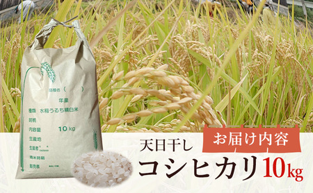 とみた農園 天日干し コシヒカリ 米 10kg とみた農園 淡路島 洲本市