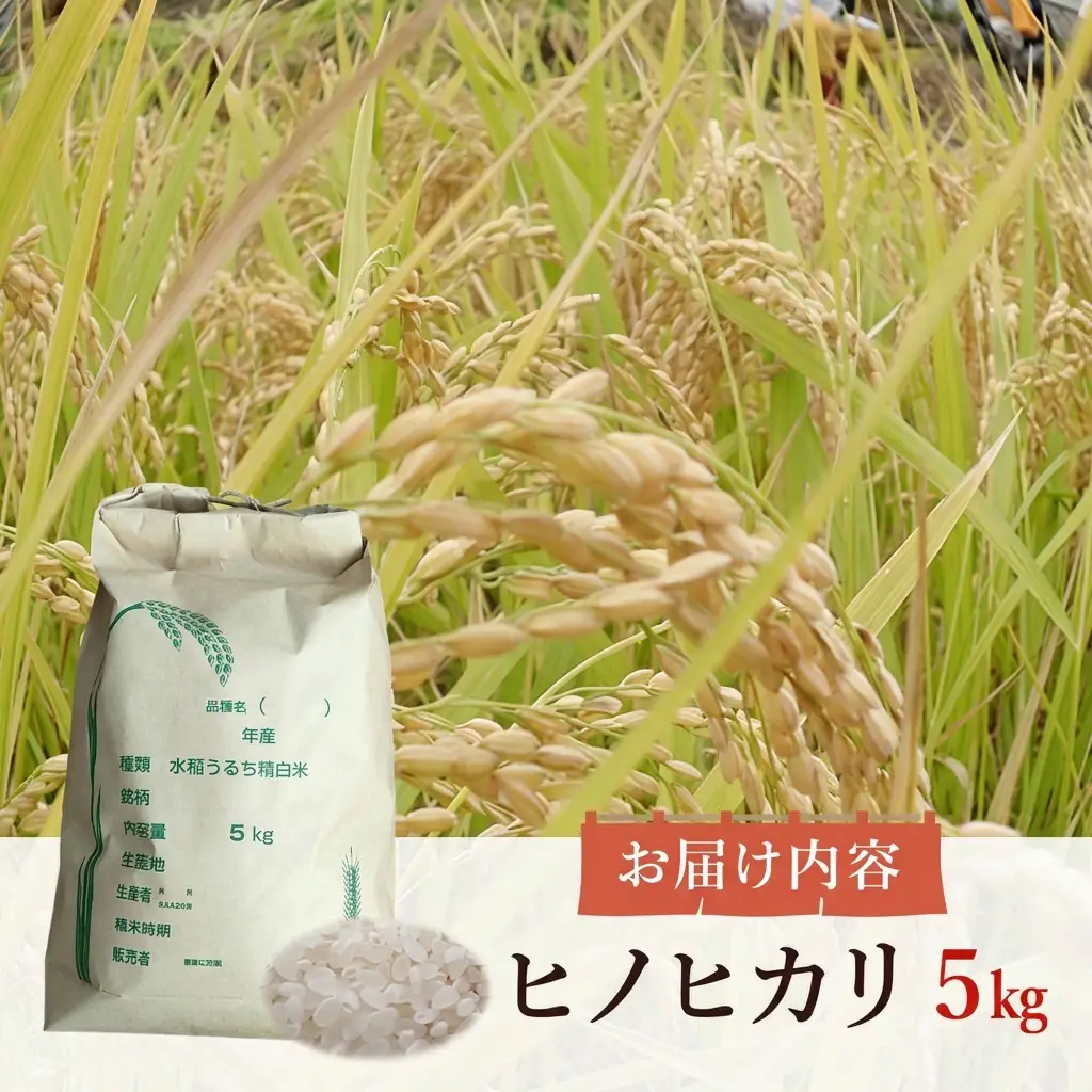 とみた農園 ヒノヒカリ 米 白米 5kg とみた農園 淡路島 洲本市