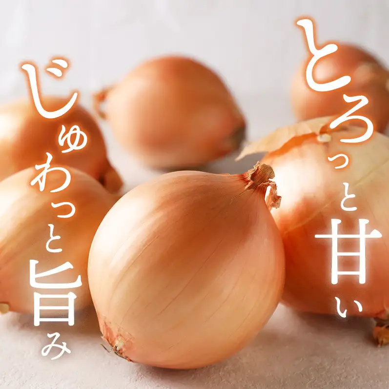 玉ねぎ 淡路島産 5kg スープ 肉じゃが 玉ねぎ