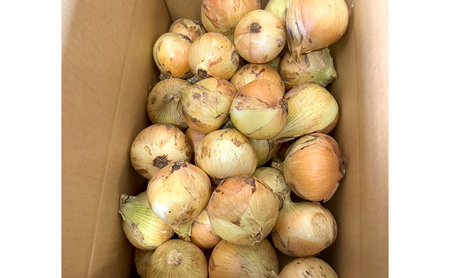 新玉ねぎ 淡路島産 5kg 甘い みずみずしい 新玉ねぎ