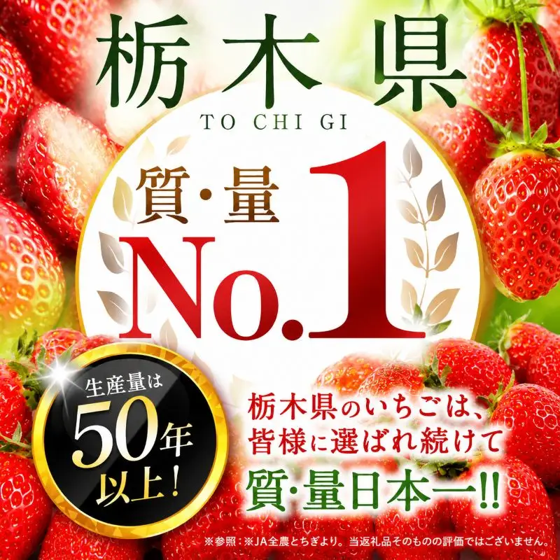 苺 いちご お試しとちあいか 8粒【栃木県共通返礼品】TT 栃木県 下野市