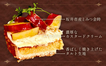 先行予約 さつまいも（とみつ金時） のタルトケーキ（5号） 2026年11月発送 スイーツ ケーキ [A-5222_11]