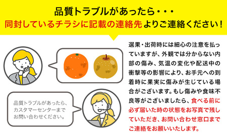 みかん 訳あり 和歌山みかん 約5kg