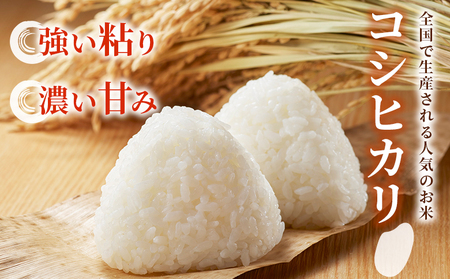 ＜令和7年産 コシヒカリ 約10kg 西予市宇和町産＞ 10キロ 白米 精米 こしひかり 米 お米 コメ こめ 宇和米 うわまい ご飯 ごはん ライス 送料無料 産地直送 天川農園 愛媛県 西予市【常温】『2025年9月中旬～12月迄に順次発送』UAN0002