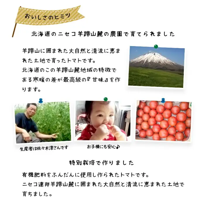 ＜早期予約・数量限定＞北海道ニセコ町 贅沢トマト4kg【2026年産】【32005】