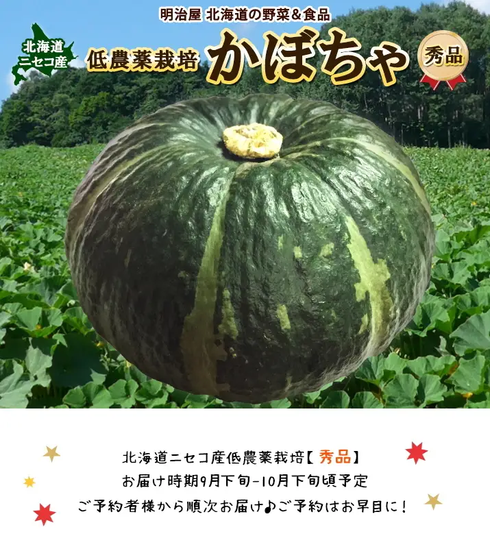 〈早期予約・数量限定〉北海道ニセコ町 かぼちゃ5kg【2026年産】【3200602】