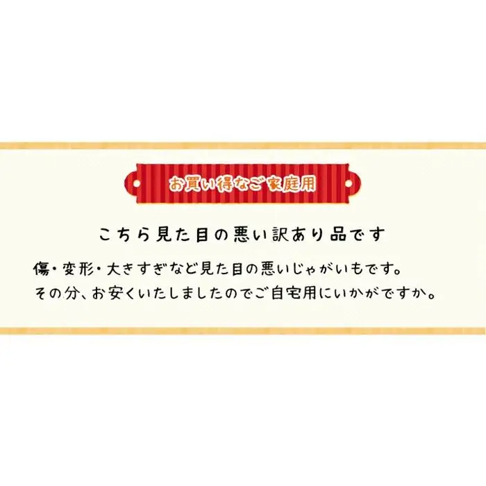 〈早期予約・数量限定〉北海道ニセコ町 訳ありじゃがいも北あかり10kg【2026年産】【3200902】