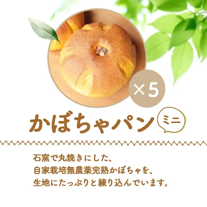 【ニセコ町】奥土農場のかぼちゃパン（ﾐﾆﾊﾟﾝ) 5個セット【42009】