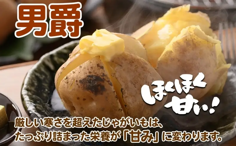 ＜2026年秋以降出荷＞ 北海道 じゃがいも 男爵 M～L 約17kg ジャガイモ 馬鈴薯 だんしゃく 芋 いも イモ ポテト 常備 野菜 根菜 農作物 お取り寄せ 産地直送 北海道産 畑農場 送料無料 幌加内