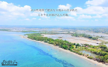 豊浦町の塩蔵で2年間以上寝かせた高級塩　天日結晶化塩　あとれとわの塩 塩蔵静置2年　80g× 9袋