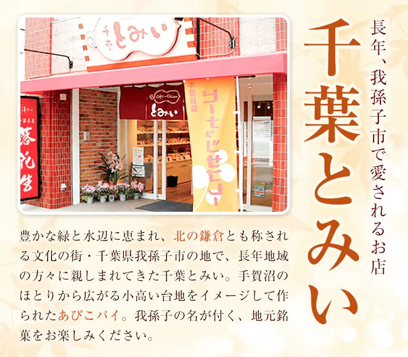 和菓子 あびこパイ詰め合わせ 計16個 株式会社富井《30日以内に出荷予定(土日祝除く)》【配送不可地域あり】(離島) 