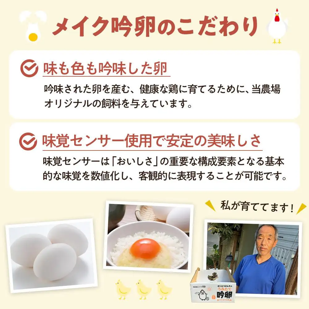 【3回定期便】さいとうさんちのうみたて吟卵　30個入り 卵