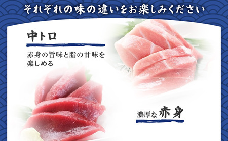 魚音おまかせ干物＆まぐろセット M006-014 魚 冷凍