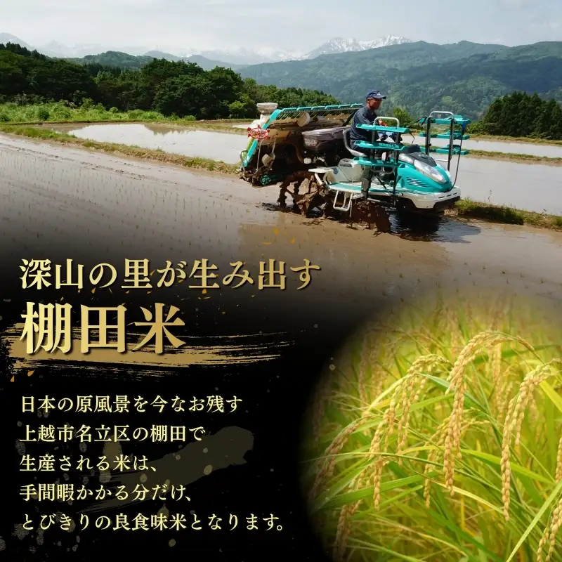 灘立銀嶺米 光 コシヒカリ 精米 15kg 上越産 コシヒカリ