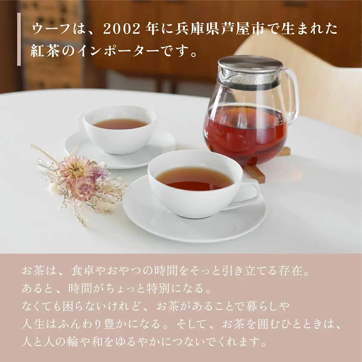 紅茶 ティーバッグ 8種セット【Uf-fu ウーフ】