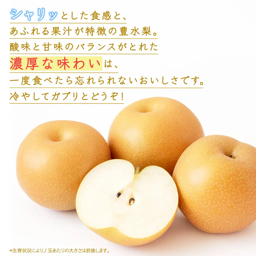 豊水 梨 約5kg 【2026年9月より発送開始】（茨城県共通返礼品 [梨]：大子町産）