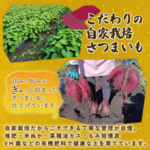 焼き芋 【2027年1月中旬頃より順次発送】さつまいも 紅はるか tsuguchan009