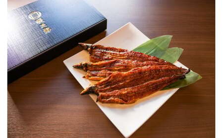 [特大] 国産 関西風地焼き うなぎ 1尾【白焼】1尾 180g以上 ｜ うなぎ 泉大津 鰻 蒲焼き 冷凍鰻 活鰻 鰻次郎 うな重 土用の丑の日 お取り寄せ 高級 うなぎの日 ウナギ unagi