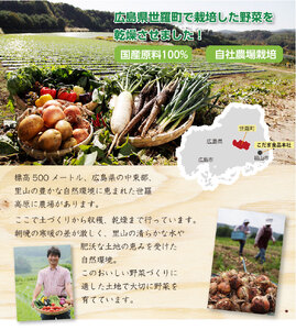 フリーズドライ白菜7g×5袋セット 国産 乾燥野菜 非常食 備蓄 みそ汁 スープ キャンプ アウトドア 時短 世羅 A047-22