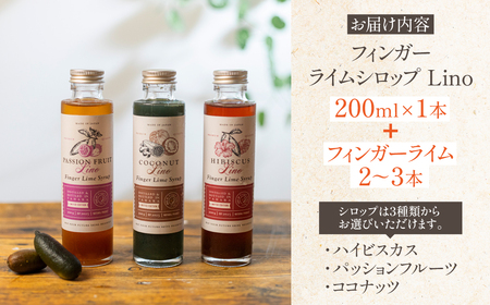 フィンガーライムシロップ Lino ハイビスカス フィンガーライム付きセット FINGER LIME JAPAN公認 キャビアライム ライム フルーツキャビア 森のキャビア 柑橘 柑橘系 愛知県 田原市 渥美半島 国産