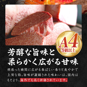 宮崎県西ノ原牧場・A4等級以上宮崎牛ヒレステーキ 300g（牛肉 宮崎牛 お肉 ヒレ ステーキ 赤身 2枚 冷凍 焼肉）