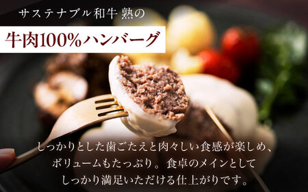 銀のハンバーグ ゴルゴンゾーラチーズソース 150g×4個 [AIAT022] ハンバーグ ギフト