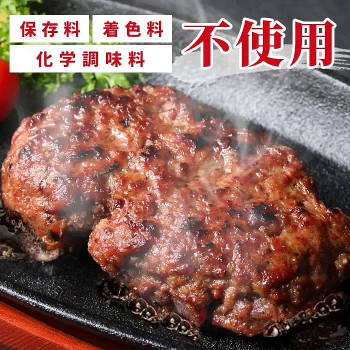 国産 牛肉 100%使用！ ハンバーグ レンジ可 湯煎 加熱済 6個 個包装 100ｇ 国産牛 牛 着色料 保存料 化学調味料 不使用 牛肉ハンバーグ 肉 肉汁 -095