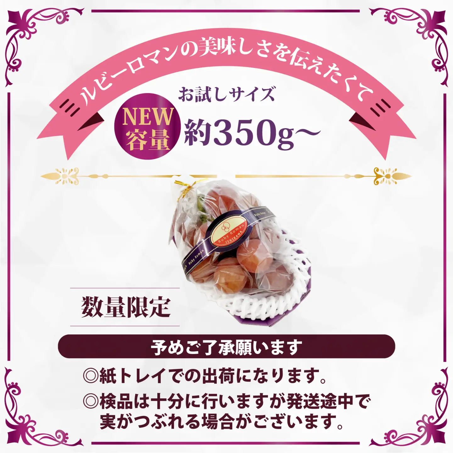 【先行予約 2027年収穫分】ルビーロマン 1房 約350g（お試しサイズ）｜ ぶどう ぶどう