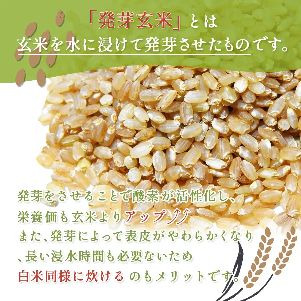 【3回定期便】【スーパー玄米！発芽発酵玄米】合鴨農法ゆめぴりか 【有機肥料/無農薬・無化学肥料･備蓄用】令和7年度米 1.8kg(450g×4袋) 水田環境鑑定・米食味鑑定士鑑定米【Yesclean加工品部門認定品】【3112904】