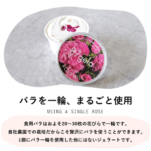 87gela 食べられる薔薇のジェラート おまかせ12個セット 87株式会社 滋賀県 東近江市 B33 ローズ ジェラート バラ スイーツ 無添加 ギフト
