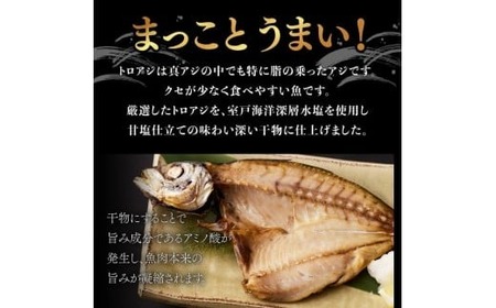 【偶数月定期便】いずま海産のトロアジ干物8枚頒布会【6回お届け】干物