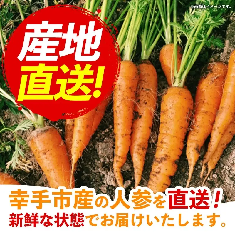 【きあり農園】2026年度 幸手市産 人参 10kg - 採れたて にんじん ニンジン 産地直送 野菜 ベジタブル 美味しい おいしい 根菜 煮物 炒め物 カレー サラダ おすすめ 送料無料 埼玉県 幸手市
