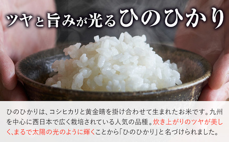 米 ひのひかり 米 計5kg 《30日以内に出荷予定(土日祝除く)》 ヒノヒカリ お米 こめ 熊本県産 精米 ブランド米 ご飯