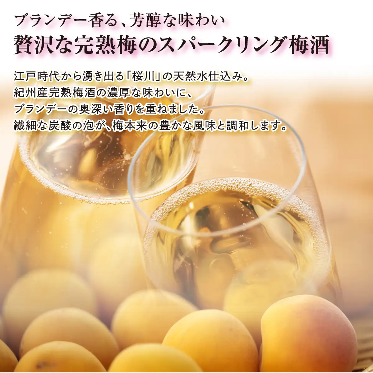 《完熟梅のスパークリング》 梅香泡 (うめかほう) 24本入 | 能勢酒造 | お酒 アルコール 食前酒 スパークリング 梅酒 リキュール ブランデー 無添加 紀州梅 国産 お取り寄せ カクテル 家飲み 老舗 瓶 | 大阪府 能勢町 送料無料
