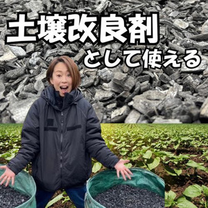 竹炭 未粉砕 120L 土壌改良 園芸 消臭 調湿効果 [0606]
