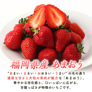 【2027年1月中旬以降順次発送予定】あまおう 約250g×2 as48-001 あまおう 苺