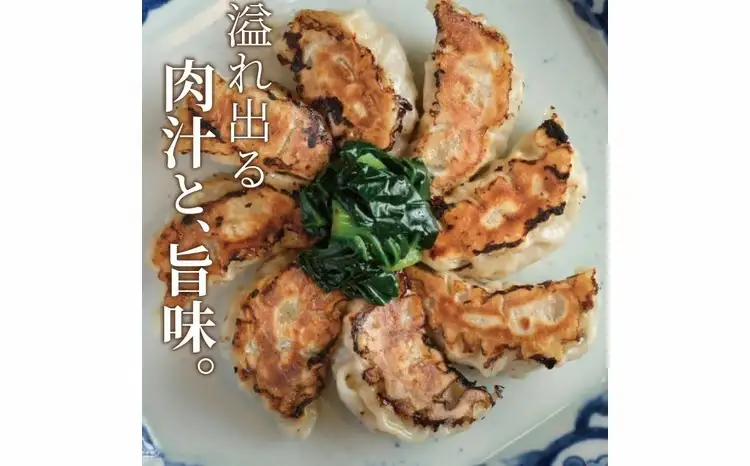 餃子 文菜華 生冷凍餃子 豚肉 餃子【20個】【冷凍】