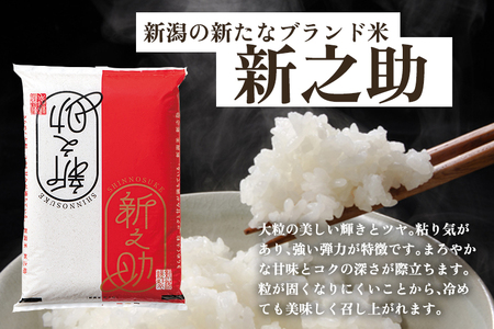 【訳あり】新潟県産 新之助 玄米パックライス（150g×20個入）