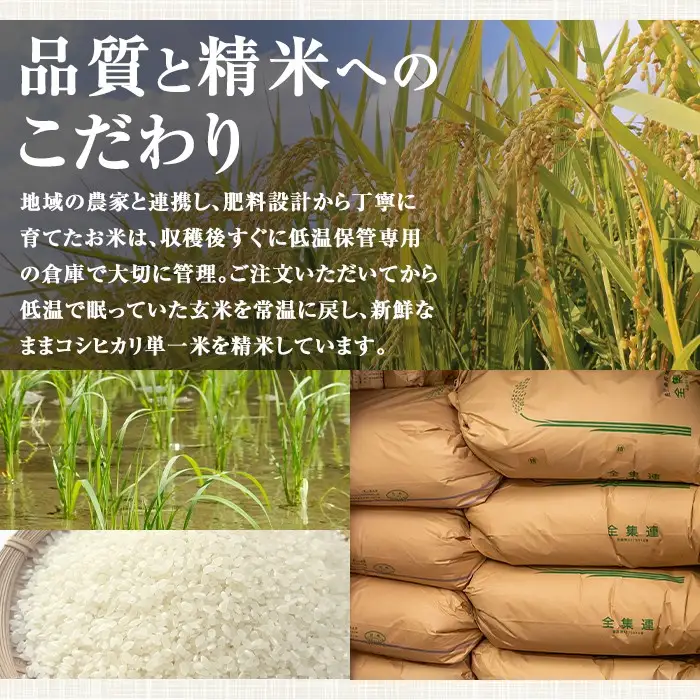 【ふるなびWEEK対象】【A95001】令和7年産 鹿児島県産 コシヒカリ 5kg 国産 精米 白米 ごはん【山下商店】