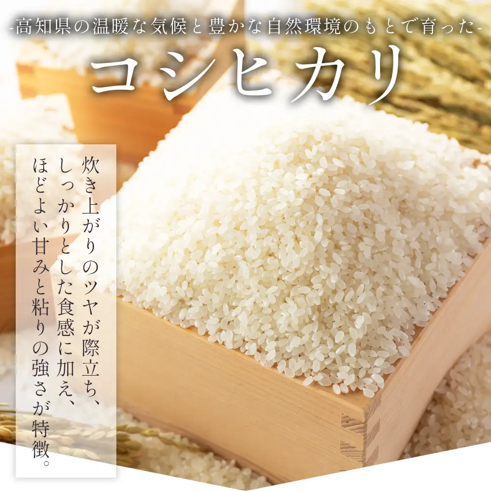 コシヒカリ 10kg 特別栽培米コシヒカリ 5kg×2 令和8年産 nu-0004